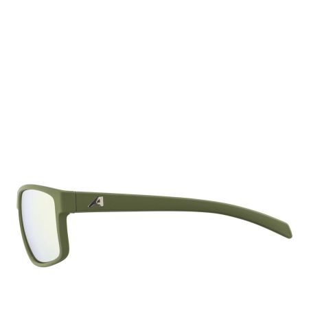 Купить Очки Alpina Nacan I Olive Matt/Bronce Mirror Cat.3 в Владимире