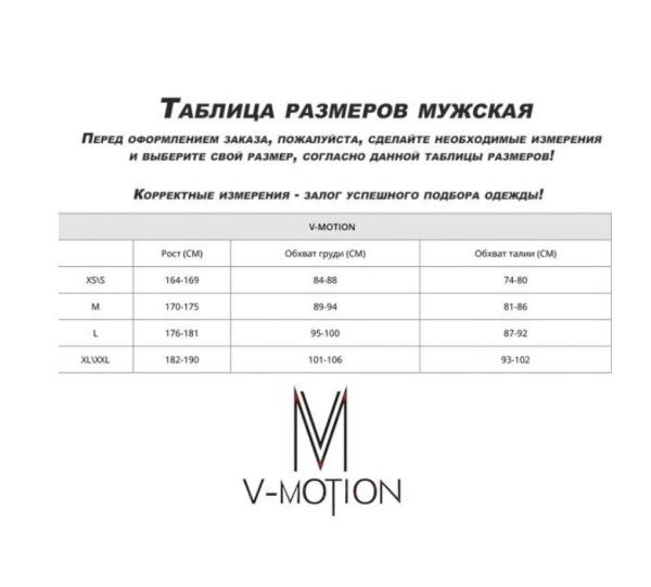 Термобельё V-MOTION Base мужской серебристый в Владимире
