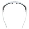 Купить Очки Alpina Skywalsh Q Smoke-Grey Matt/Green Mirror Cat.4 Fogstop в Владимире
