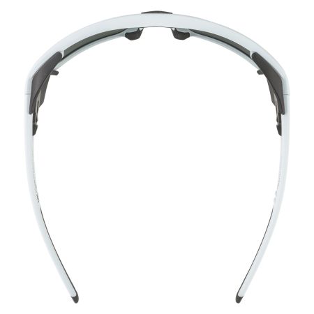 Купить Очки Alpina Skywalsh Q Smoke-Grey Matt/Green Mirror Cat.4 Fogstop в Владимире