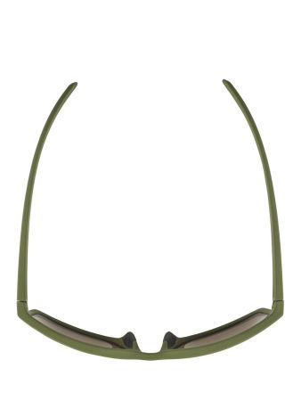 Купить Очки Alpina Nacan I Olive Matt/Bronce Mirror Cat.3 в Владимире