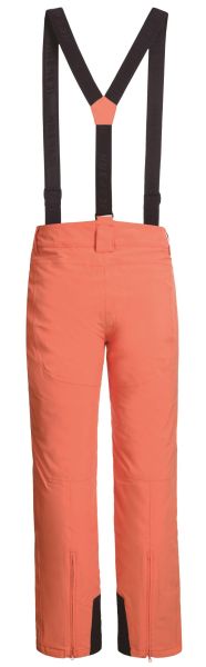 Брюки горнолыжные Icepeak 657038839IV 455 в Владимире