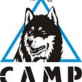 Кошки CAMP в Владимире