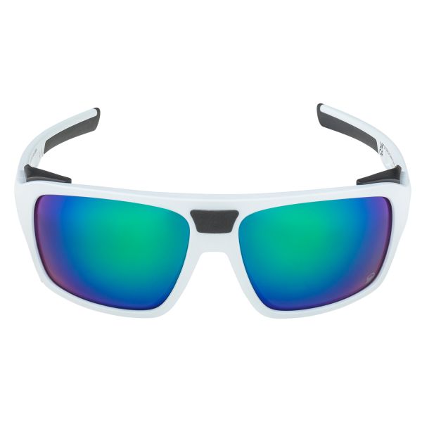 Купить очки alpina skywalsh q smoke-grey matt/green mirror cat.4 fogstop в Владимире