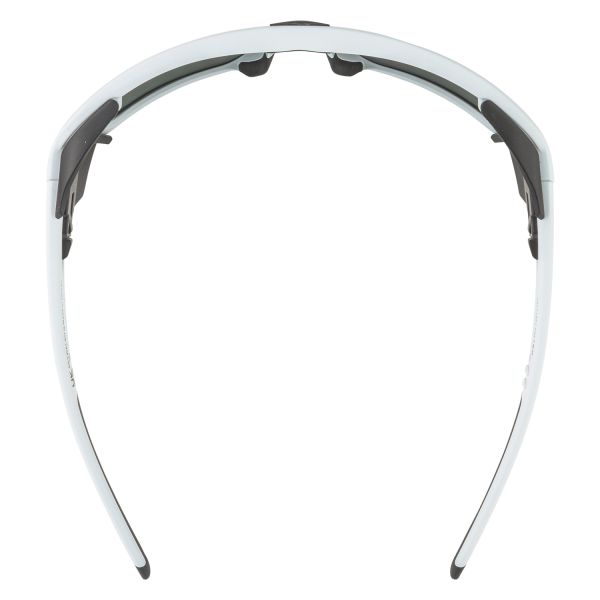 Купить очки alpina skywalsh q smoke-grey matt/green mirror cat.4 fogstop в Владимире