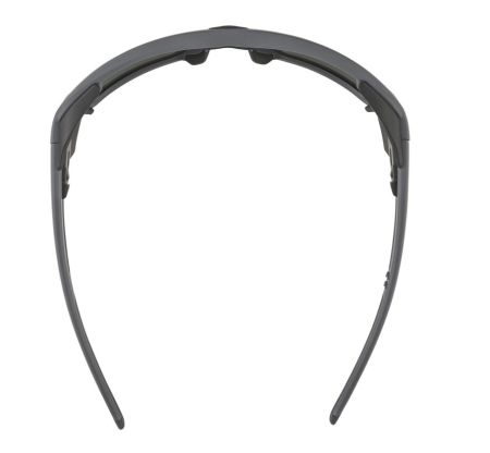 Купить Очки Alpina Skywalsh Q Midnight-Grey Matt/Blue Mirror Cat.4 Fogstop в Владимире